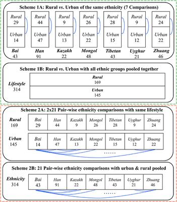 Shared Species Analysis, Augmented by Stochasticity Analysis, Is More Effective Than Diversity Analysis in Detecting Variations in the Gut Microbiomes